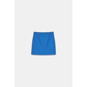 Blue Zara Mini Skirt in Darts